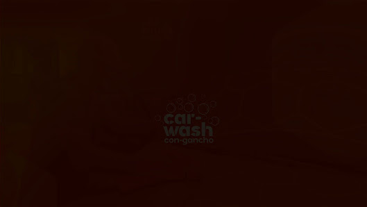 Car Wash Con Gancho (𝘊.𝘊. 7 𝘗𝘢𝘭𝘮𝘢𝘴) - foto 4